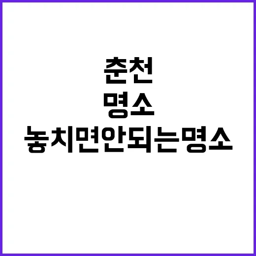 춘천에서 놓치면 안…