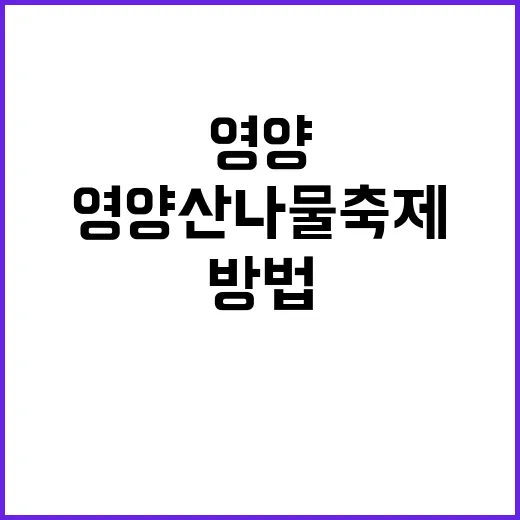 영양 산나물축제를 만끽하는 방법