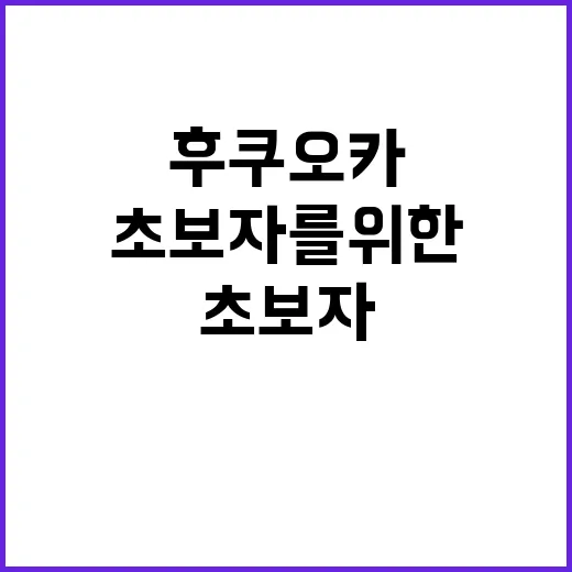 후쿠오카 쇼핑을 만끽하는 방법: 초보자를 위한 가이드