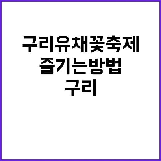 구리 유채꽃 축제 …
