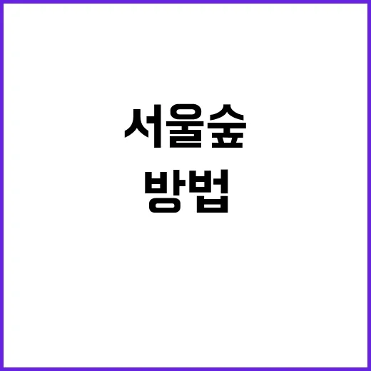 서울숲을 완벽히 즐기는 방법