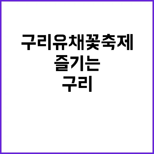 구리 유채꽃 축제에서 환상적인 봄을 즐기는 방법