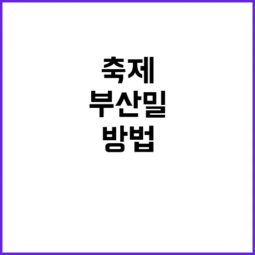 부산밀축제를 100…