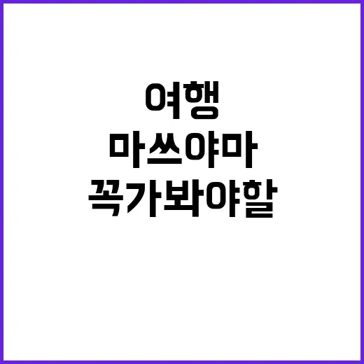 마쓰야마 여행을 즐…