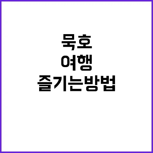묵호 여행을 완벽히 즐기는 방법