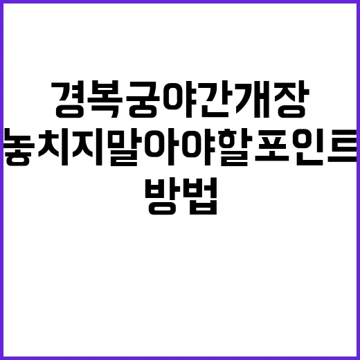 경복궁 야간개장을 …