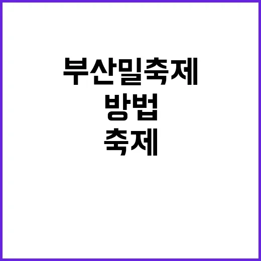 부산밀축제를 만끽하는 방법