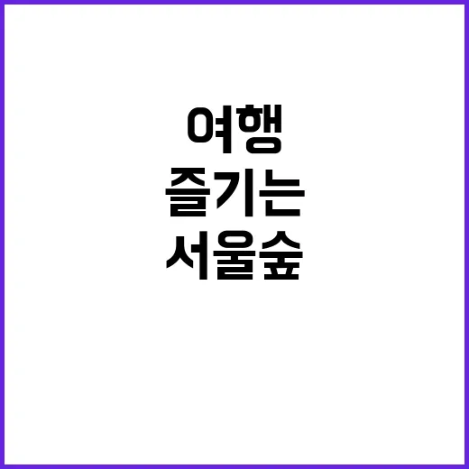 서울숲을 즐기는 방법: 감성적인 도시 속 자연 여행
