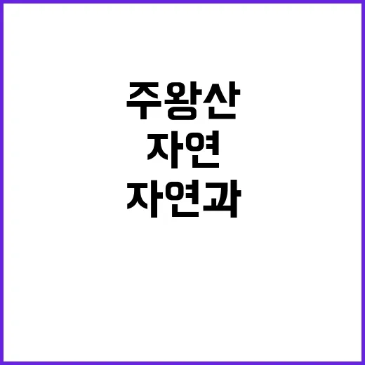주왕산에서 자연과 하나되는 방법