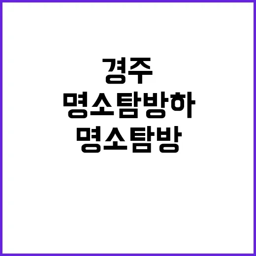 경주에서 꼭 방문해…