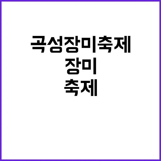 곡성 장미축제를 만끽하는 방법
