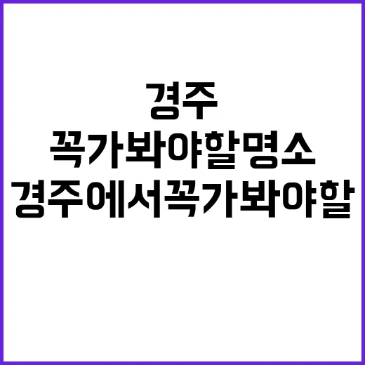 경주에서 꼭 가봐야 할 명소를 탐험하는 방법