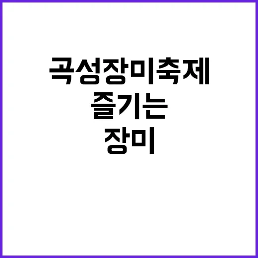 곡성 장미축제를 완벽하게 즐기는 방법