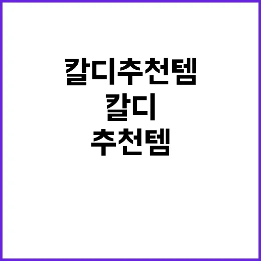 여행자들을 위한 칼…
