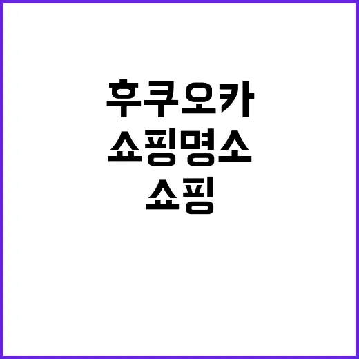 후쿠오카에서 쇼핑하는 방법: 최고의 쇼핑 명소와 팁