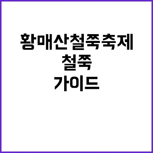 황매산 철쭉축제를 즐기는 방법: 최고의 순간을 위한 가이드