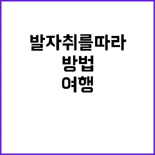 송윤아의 발자취를 …