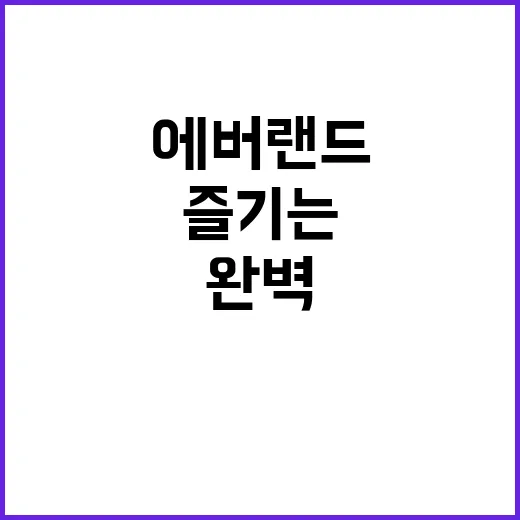 에버랜드를 완벽하게 즐기는 방법: 초보자를 위한 가이드