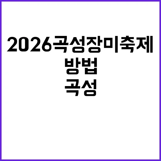 2026 곡성 장미축제를 만끽하는 방법