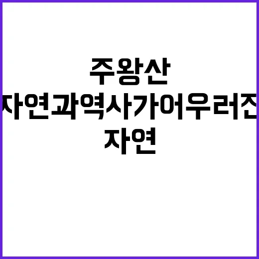 주왕산을 만끽하는 …