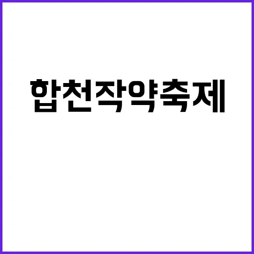합천 작약축제를 즐…