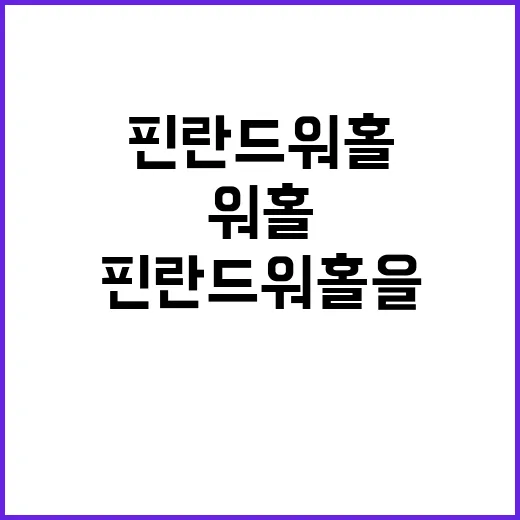 핀란드 워홀을 성공적으로 준비하는 방법