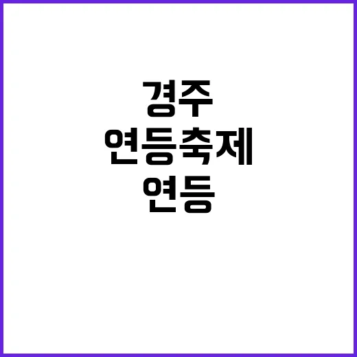 경주 연등축제를 만끽하는 방법