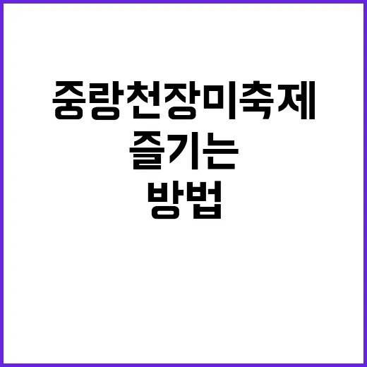 중랑천 장미축제를 즐기는 방법