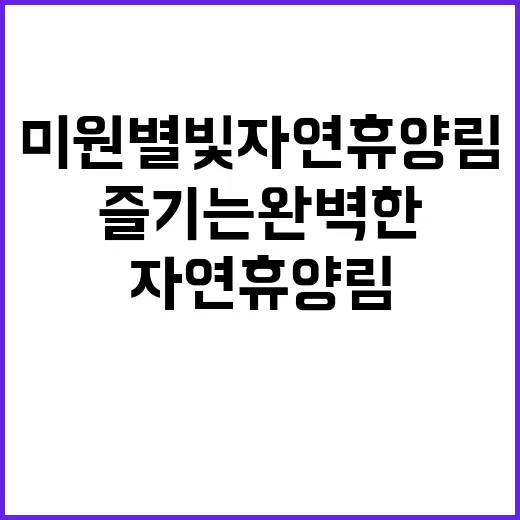 미원별빛자연휴양림에…
