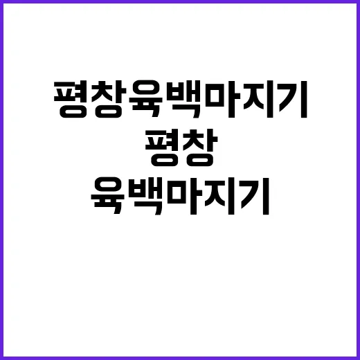 평창 육백마지기를 완벽히 즐기는 방법