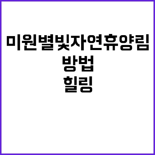 미원별빛자연휴양림에서 힐링하는 방법