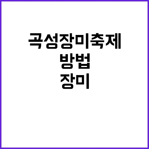 곡성 장미축제를 만…