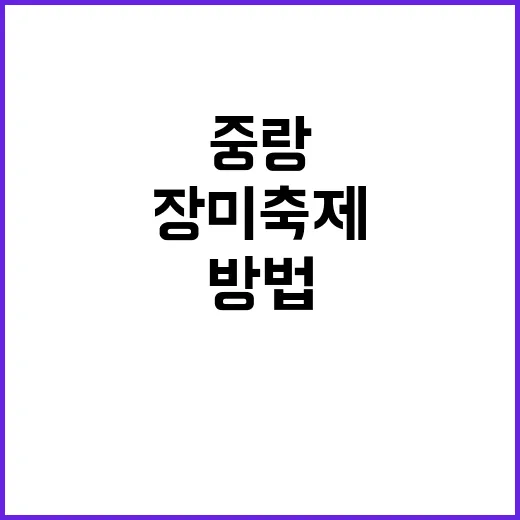 중랑 장미축제를 만…