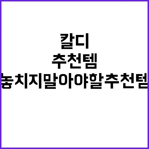칼디에서 놓치지 말…