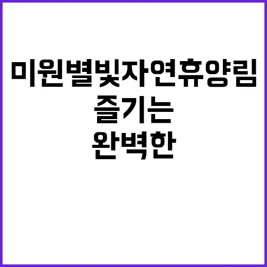 미원별빛자연휴양림에서 완벽한 휴식을 즐기는 방법