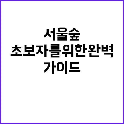 서울숲을 즐기는 방법: 초보자를 위한 완벽한 가이드