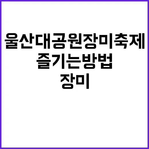 울산대공원 장미축제를 즐기는 방법
