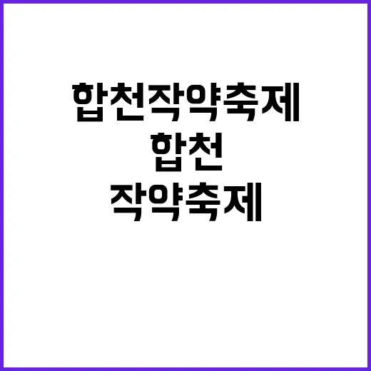 합천 작약축제를 즐기는 방법