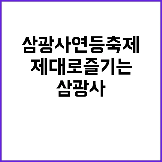 삼광사 연등축제를 …