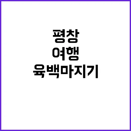 평창 육백마지기에서 완벽한 여행을 즐기는 방법