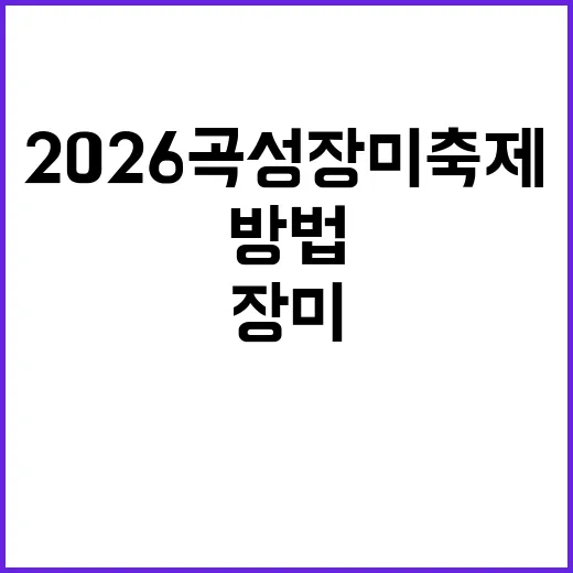 2026 곡성 장미축제에서 즐길 수 있는 방법