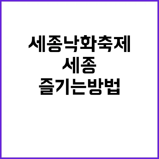 세종낙화축제를 마음껏 즐기는 방법