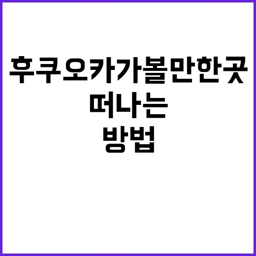 후쿠오카 가볼만한 곳을 찾아 떠나는 방법