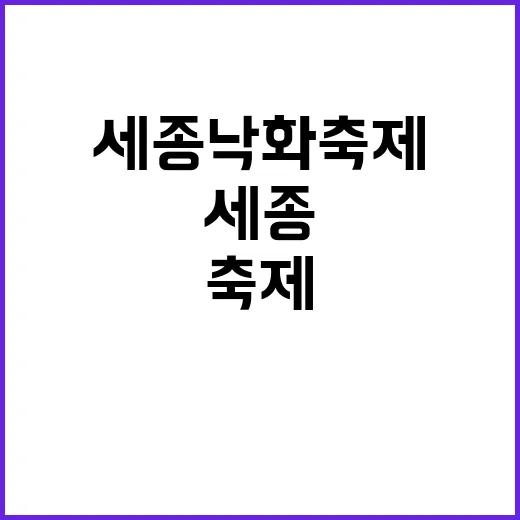 세종 낙화축제 즐기는 방법: 감성 가득한 여행의 시작