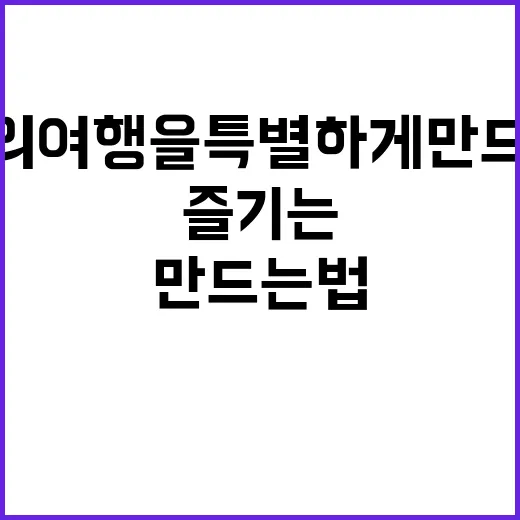 연등회를 즐기는 방법: 당신의 여행을 특별하게 만드는 법