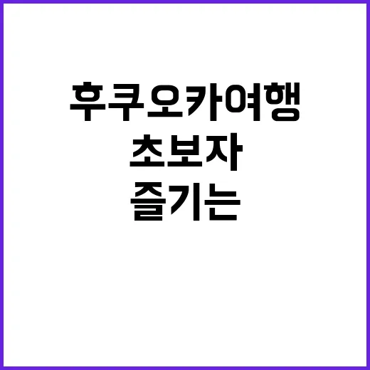 초보자를 위한 후쿠오카 여행을 완벽하게 즐기는 방법