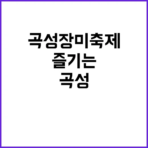 곡성 장미축제를 완벽히 즐기는 방법