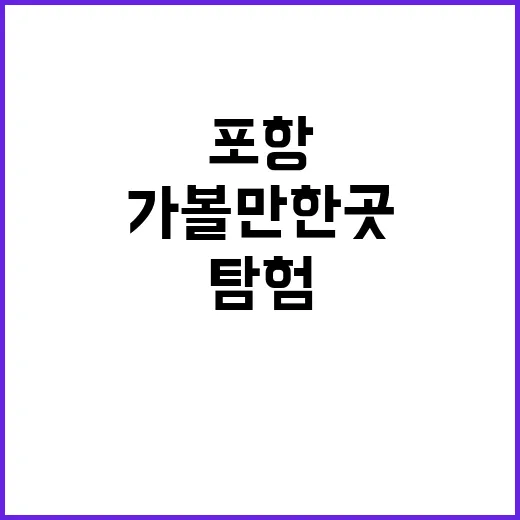 초보자를 위한 포항…