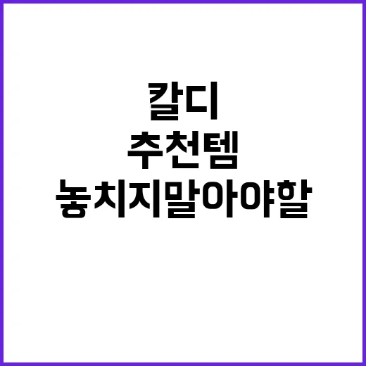 칼디에서 놓치지 말아야 할 추천템을 찾는 방법