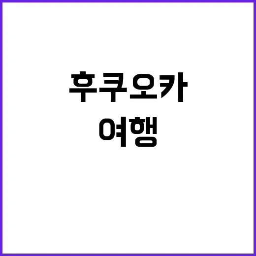 후쿠오카에서 꼭 해봐야 할 여행 경험들